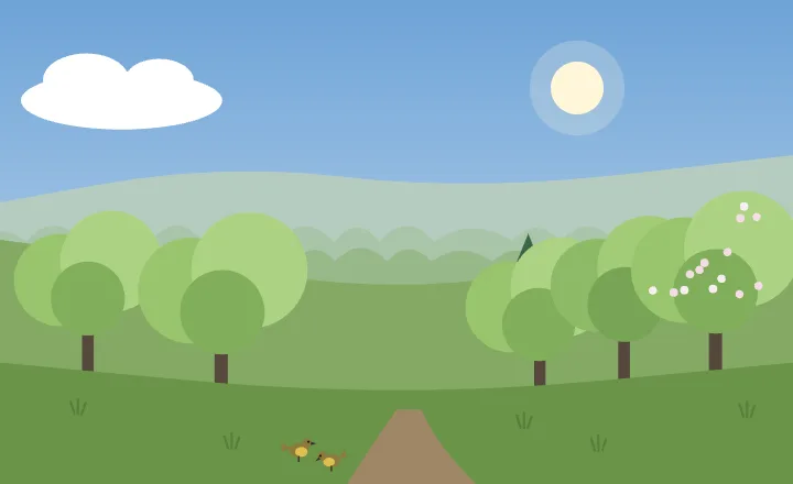 Forest in each season